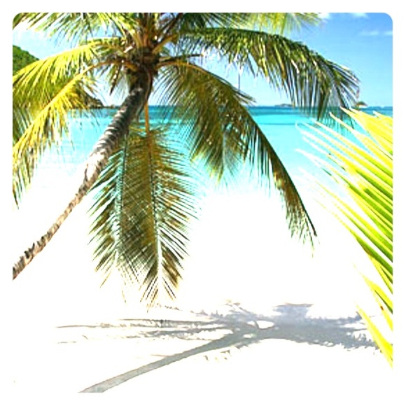 Meet your Posher, Barbara - Picture 1 of 1